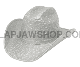 TINFOIL COWBOY HAT VINYL STICKER Vinyl Sticker