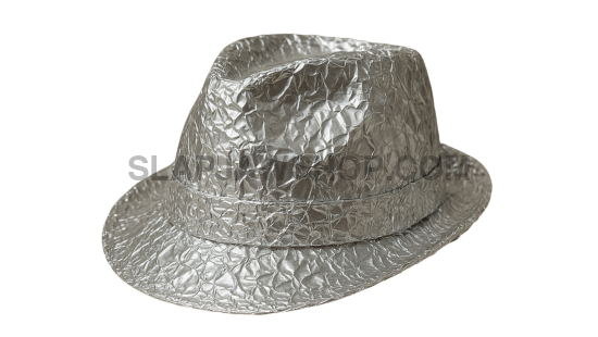 TINFOIL FEDORA 8x10 WALL PRINT Wall Print