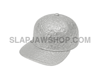 TINFOIL SNAPBACK HAT 11x14 WALL PRINT Wall Print