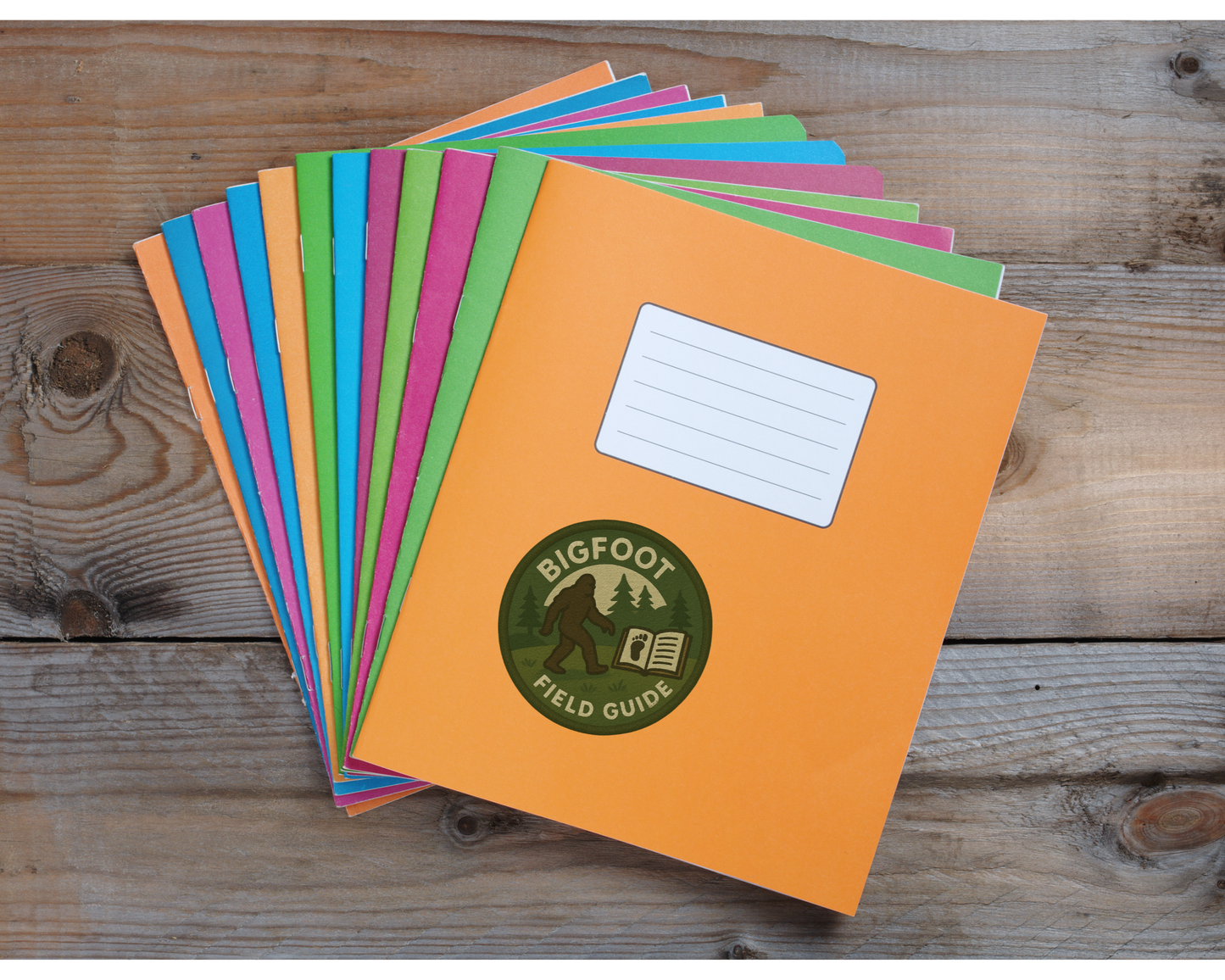 Set of colorful books with a 'Bigfoot Field Guide' on a wooden surface