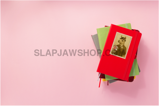 LLAMA LOVER BOY Vinyl Sticker: Large-Sized Bold Graphic Decal — Weatherproof Gloss — Eye-Catching Art Vinyl Sticker