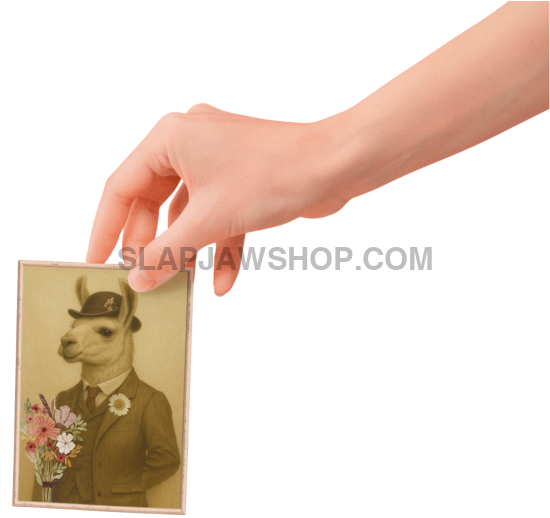 LLAMA LOVER BOY Vinyl Sticker: Large-Sized Bold Graphic Decal — Weatherproof Gloss — Eye-Catching Art Vinyl Sticker