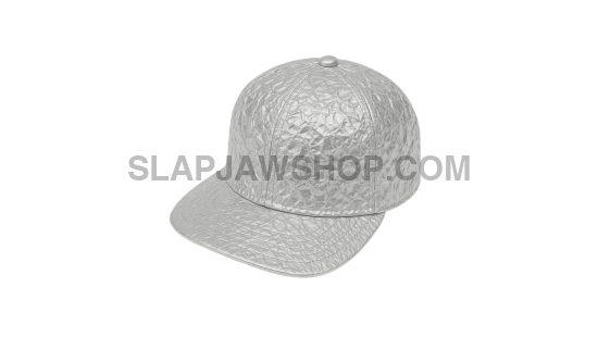 TINFOIL SNAPBACK HAT 8x10 WALL PRINT Wall Print